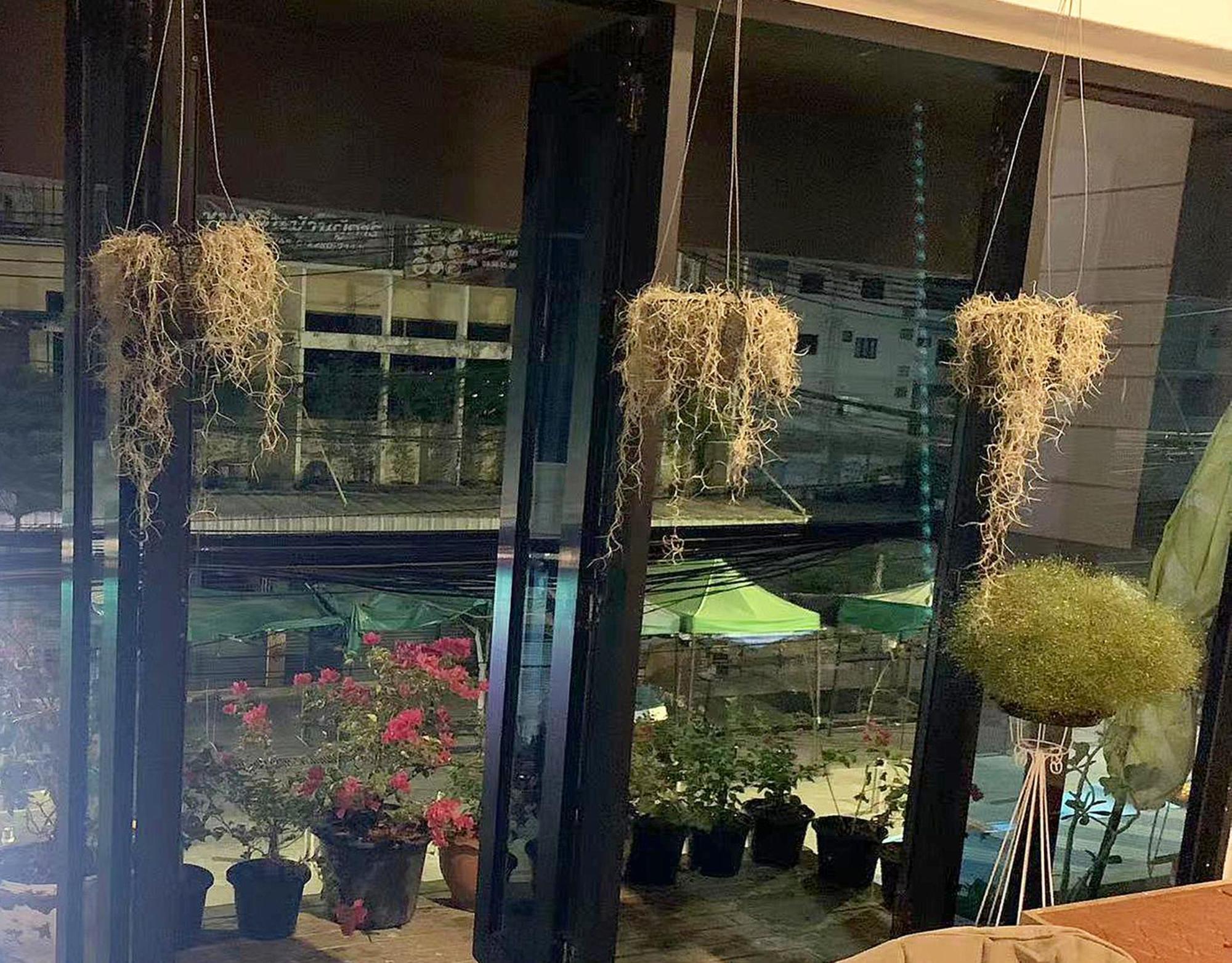 Susu Khaosan Hostel 방콕 외부 사진